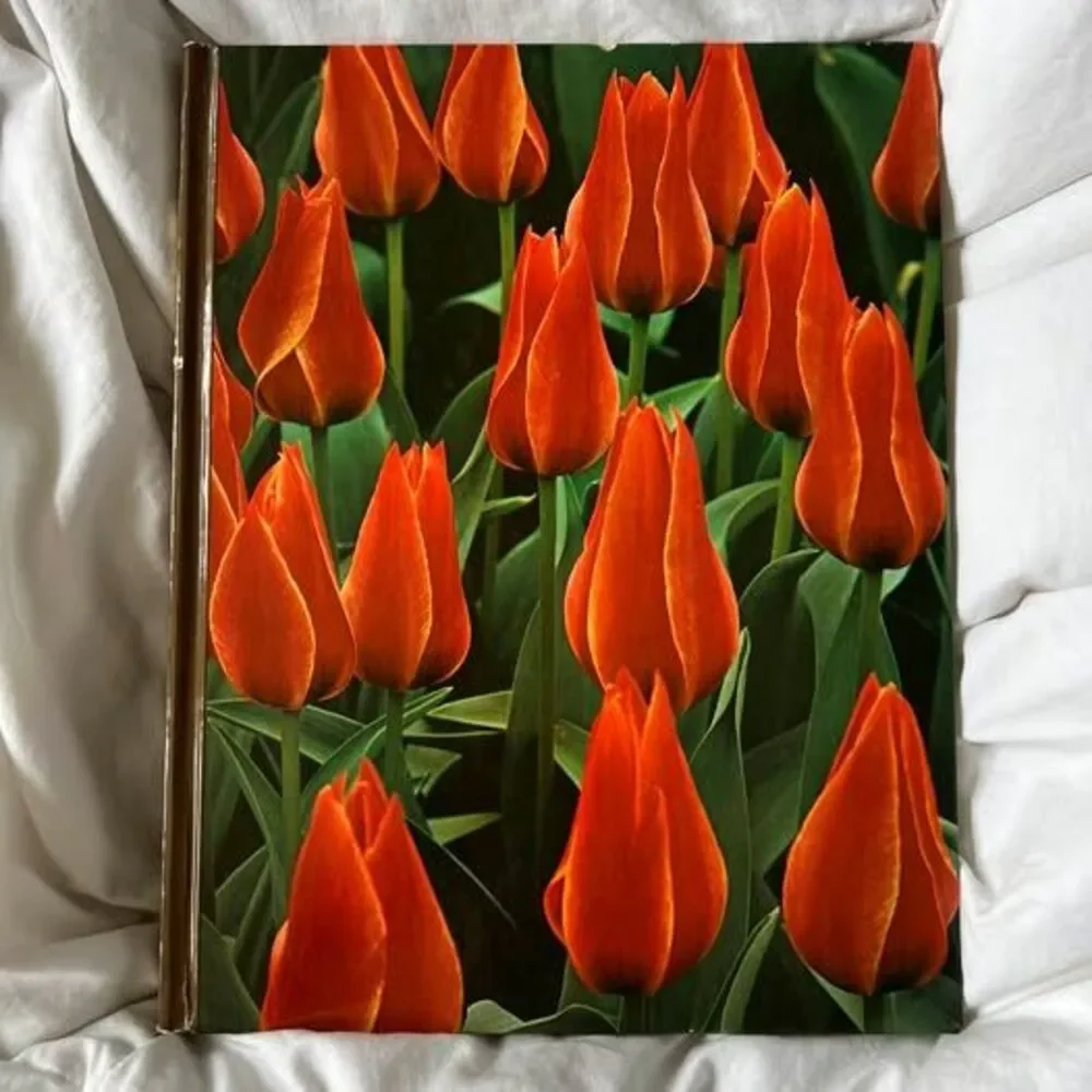 Bulbs, The Time-Life Encyclopedia of Gardening